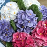 День космонавтики 2026 г.